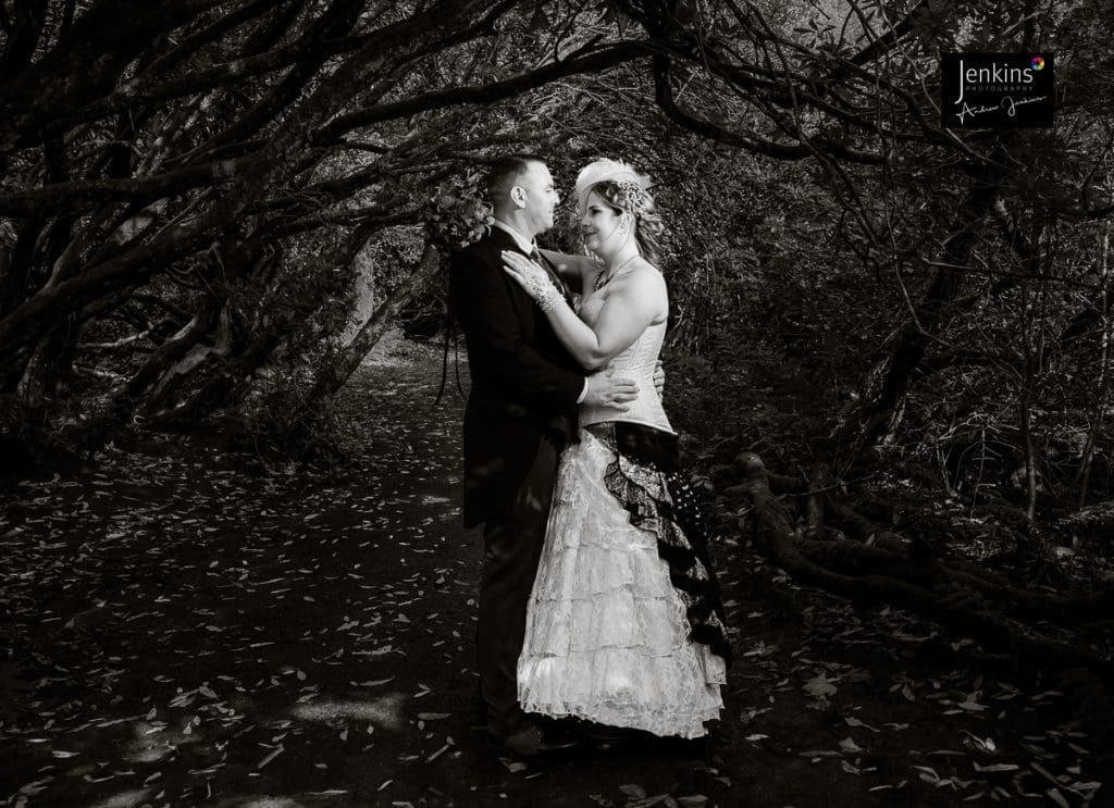 craig-y-nos-castle-steampunk-wedding-jenkins-photography country park