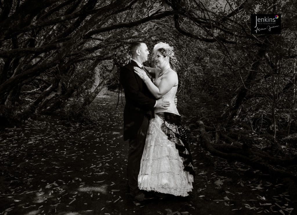 craig-y-nos-castle-steampunk-wedding-jenkins-photography country park
